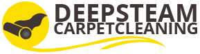 Deep Steam Carpet Cleaning